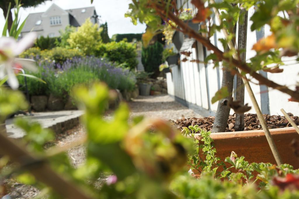 Lyng Dal Hotel Og Restaurant Ry Luaran gambar