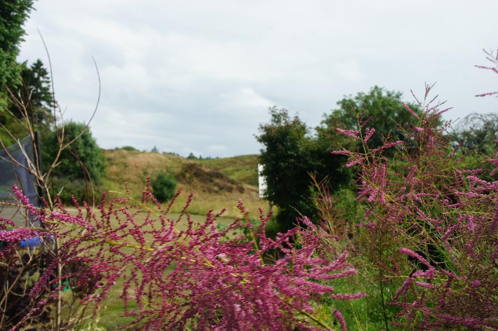 Lyng Dal Hotel Og Restaurant Ry Luaran gambar