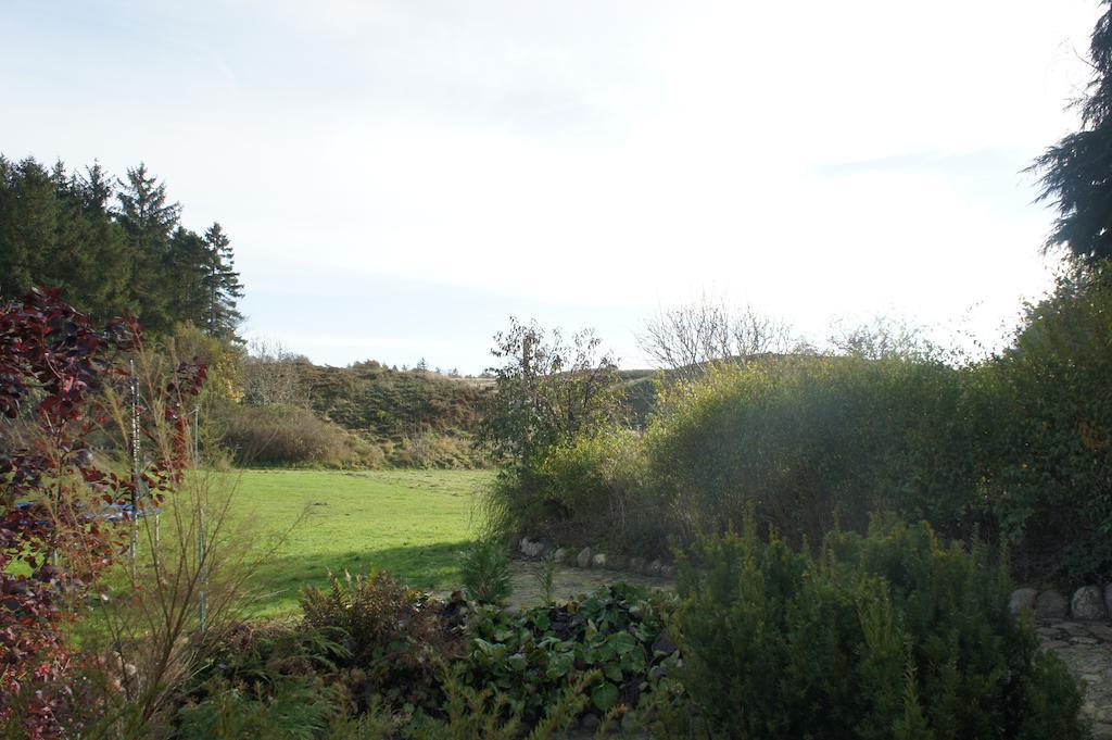 Lyng Dal Hotel Og Restaurant Ry Luaran gambar