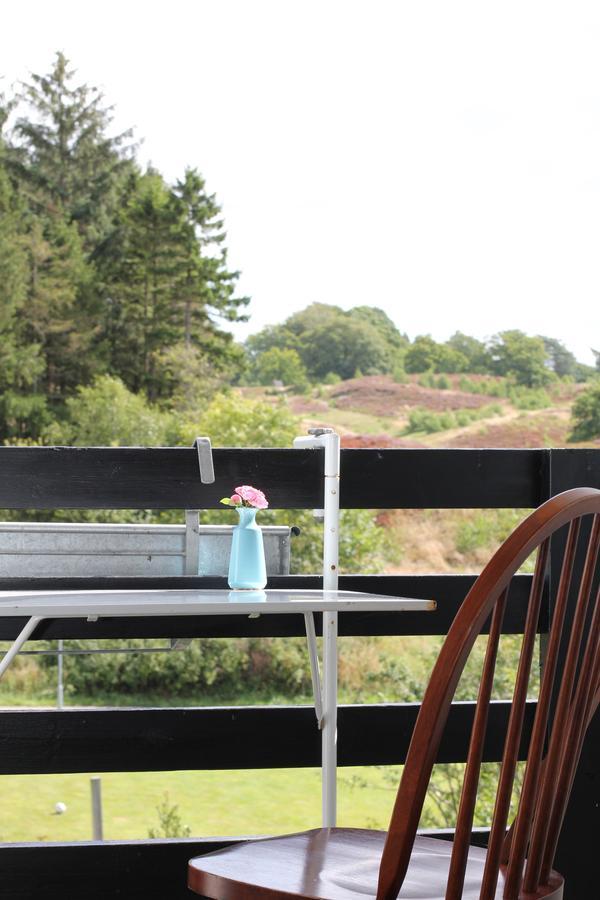 Lyng Dal Hotel Og Restaurant Ry Luaran gambar