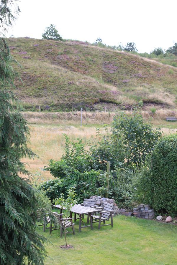Lyng Dal Hotel Og Restaurant Ry Luaran gambar